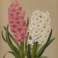 Profile Picture of Sandra Heath (@sandra-heath-26) on Quora