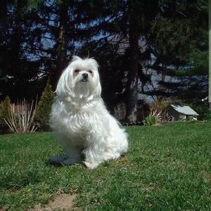 Profile Picture of Vicki Albertassi (@268063656) on Myspace