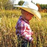 Profile Picture of Mark Nicolaisen (@marknicolaisen) on Instagram