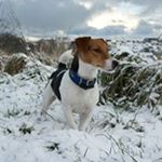 Profile Picture of Janet Murray (@janet.murray.980) on Instagram