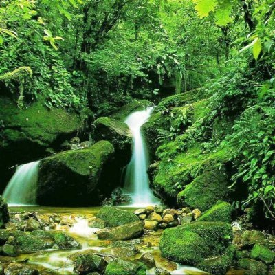 Profile Picture of Fernando Arellano (@Fernand61380960) on Twitter