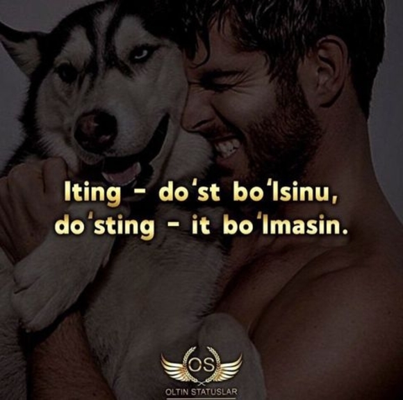 Profile Picture of Islomkulovich Boltaev (@islomkulovichb) on Poshmark