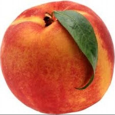 Profile Picture of Taylor James Arndt (@ArndtLemon) on Twitter