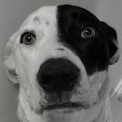 Profile Picture of Richard Broun (@richardbroun) on Youtube