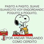 Profile Picture of Nathan Rozenfarb Guberek (@nrozenfarb) on Instagram