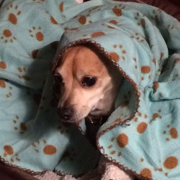 Profile Picture of Gina Andrighetto (@ginaaa3) on Poshmark