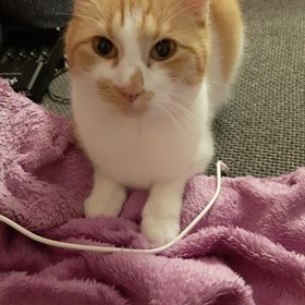 Profile Picture of Mandy Zimmermann (@mzahlaus) on Pinterest