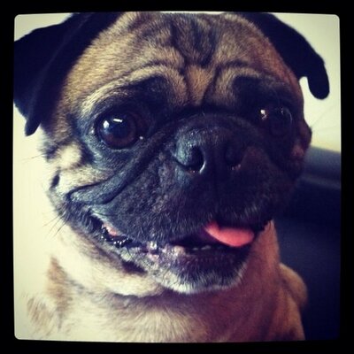 Profile Picture of Justin Surratt (@redraiderox) on Twitter