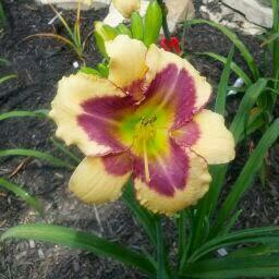 Profile Picture of Brian Bender (@brianbender2705) on Twitter