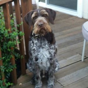 Profile Picture of Candy Shannon (@candyshann) on Pinterest