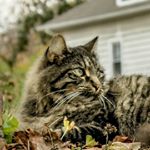 Profile Picture of Kyle Gray (@sam_kissel_69) on Instagram