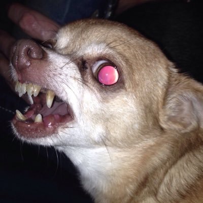 Profile Picture of Austin Muller (@Ausmuller) on Twitter