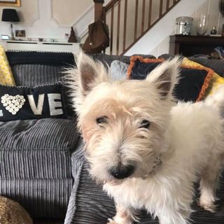 Profile Picture of Anne Roach (Monaghan ) (@anne.roach.10) on Facebook