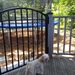 Profile Picture of Marjorie Ireland Johnson (@marj1960) on Pinterest