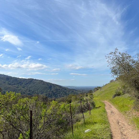 Profile Picture of Lucia Neyra (@lucia567) on Poshmark