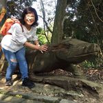 Profile Picture of CoCo Huang (@coco.huang.338) on Instagram