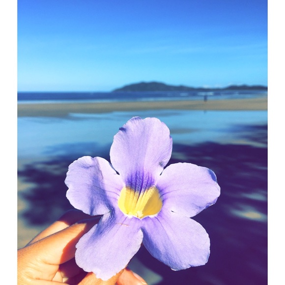 Profile Picture of Andreia Goncalves (@andreia7727) on Poshmark