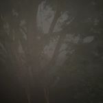 Profile Picture of Alexander Vendelsoe Clausen (@png.alexander) on Instagram