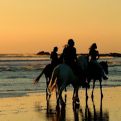 Profile Picture of Shannon Simuel (@shannonsimuel3753) on Youtube