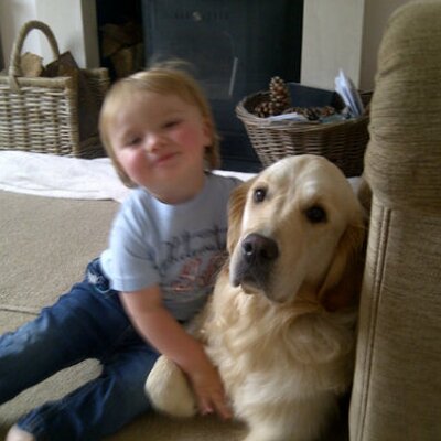Profile Picture of Michael Markowicz (@markotrees) on Twitter