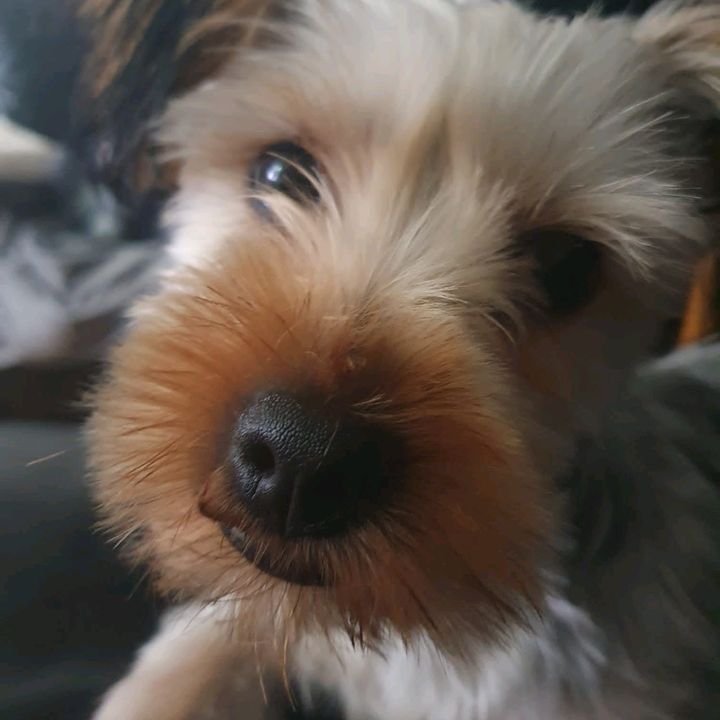 Profile Picture of christopherwinrow (@christopherwinrow) on Tiktok