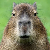 Profile Picture of Adam Perkins (@adamperkins6789) on Youtube
