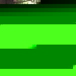 Profile Picture of Tiera (@tieraj77) on Myspace