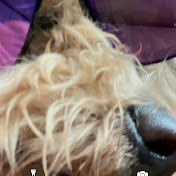 Profile Picture of Rob Holt (@robholt4344) on Youtube