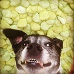 Profile Picture of Gemma Devine (@gemmad0882) on Instagram