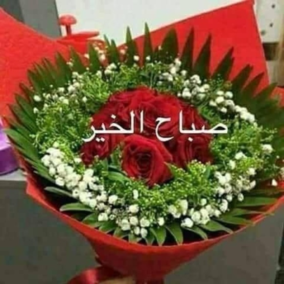 Profile Picture of Rola Fayad (@rolafayad) on Poshmark