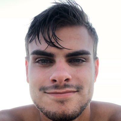 Profile Picture of Dominic Palmer (@dom_palm) on Twitter