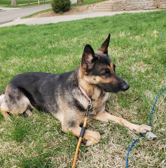 Profile Picture of Jacqueline Stewart (@peacheypooh68) on Poshmark