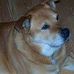 Profile Picture of Rusty Pruitt (@rusty.pruitt.31) on Facebook