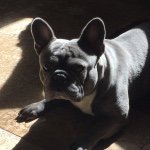 Profile Picture of waynemajors (@waynemajors) on Instagram