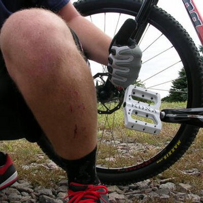 Profile Picture of Dan Falk (@danbfalk) on Twitter