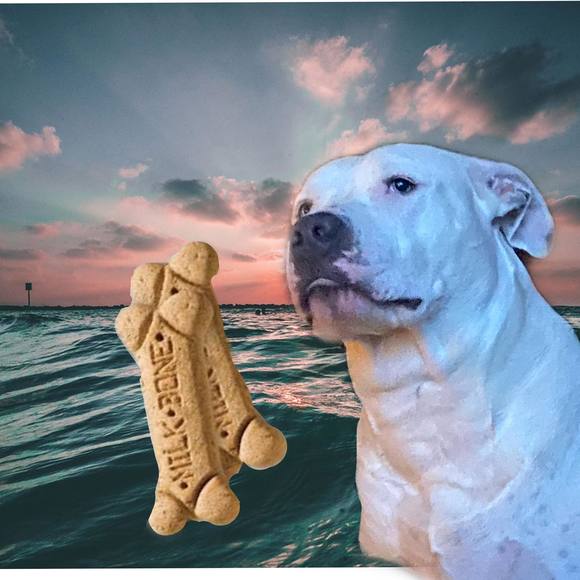 Profile Picture of Josh Miller (@joshmiller441) on Poshmark