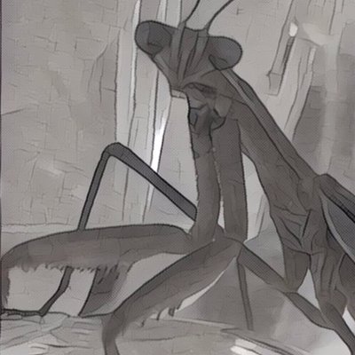 Profile Picture of David Kincaid (@kincaidhuman) on Twitter