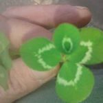 Profile Picture of Joe Kimbrell (@joe.kimbrell) on Instagram