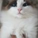 Profile Picture of Fernando (@ferromfna) on Pinterest