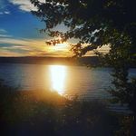 Profile Picture of Joan McGinnis (@joan__mcginnis) on Instagram