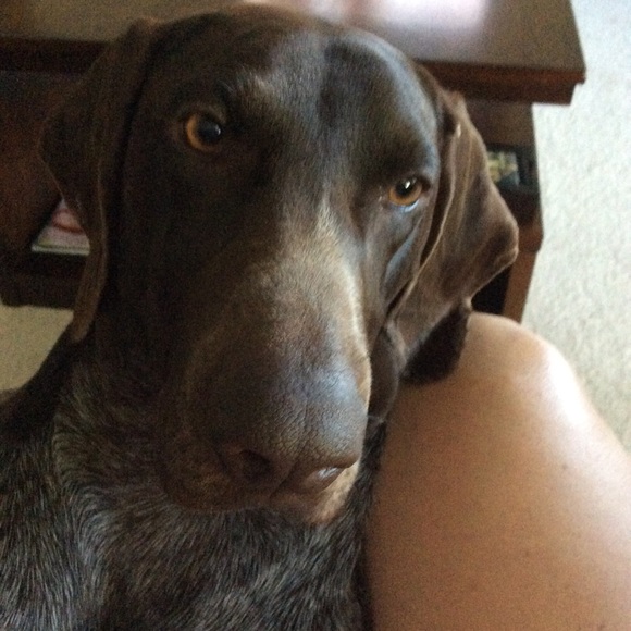 Profile Picture of Sarah Shay (@skshay) on Poshmark