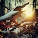 Profile Picture of Zack Doty (@zack_doty_photography) on Instagram