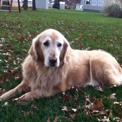 Profile Picture of Dawn Waddell (@dwaddell00) on Twitter