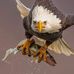 Profile Picture of Paul Canada (@paul.canada.16) on Facebook