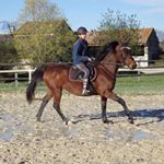 Profile Picture of Sultane,Lucas Et Adele (@sultane_du_cyrel) on Instagram