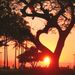 Profile Picture of Val Arnold (@valarnold5) on Pinterest