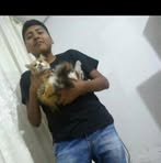 Profile Picture of David H Amones (@davidalfonso.huarahuaraamones) on Facebook