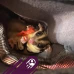 Profile Picture of Tarra Stubblefield (@tarra.stubblefield) on Facebook