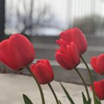 Profile Picture of Jeff Fahey (@jeff_fahey_photos) on Instagram