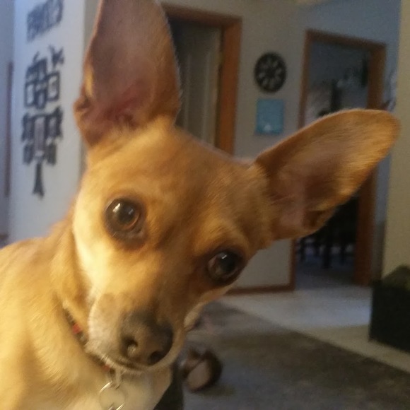 Profile Picture of Jerry Morgan (@jerrymorgan31) on Poshmark